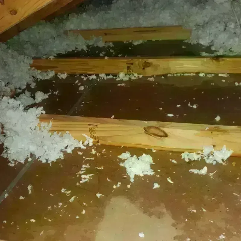 Attic Water Damage in Graceville, FL